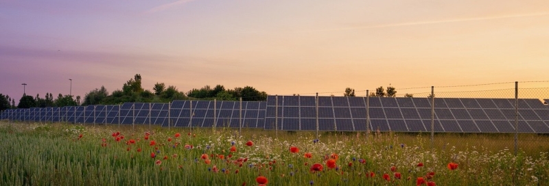 Bouw zonnepark graafsebaan van coöperatie brabantstroom kan van start