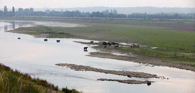 Geldigheidsdatum voor lozingsvergunningen nodig om waterkwaliteit Maas te verbeteren