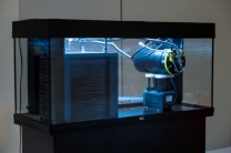 Kunstkieuwen voor onderwaterrobots