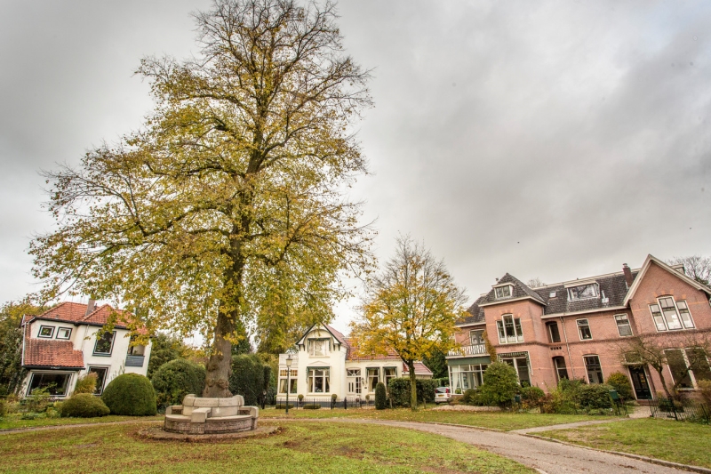 Lochemse woningen als eerste ter wereld verwarmd met waterstof