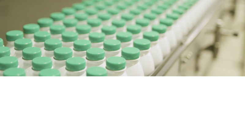 Nieuw rapport CPB: export bepalend voor productiviteit