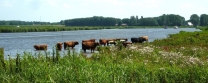 Noorderzijlvest kan zich grotendeels vinden in nieuwe gedragscode Beheer en Onderhoud