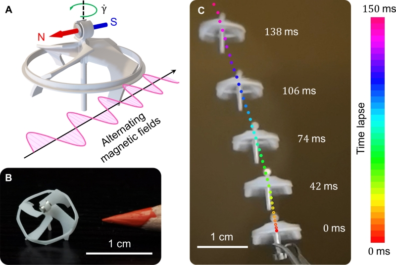 Onderzoekers maken kleinste robot ter wereld