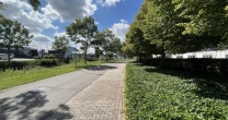 Subsidieregeling open voor vergroening van bedrijfspercelen