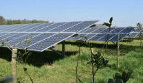 Uniek zonnepark geopend in Schiebroek